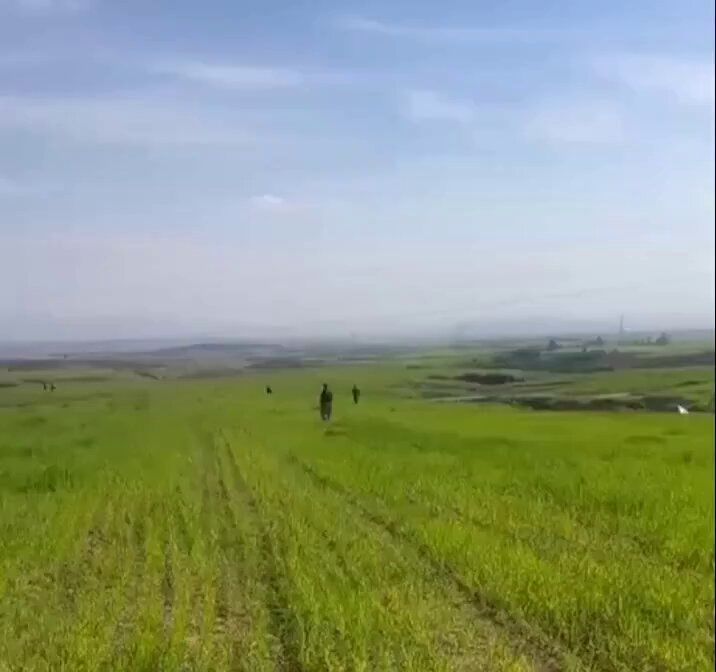 @Babak Taghvaee - The Crisis Watch: BREAKING: A one-way attack drone of the IRGC Aerospace Force can be seen crashing into a field somewhere in Erbil, Kurdistan Region of Iraq.
#OperationEpicFury #OperationLionsRoar