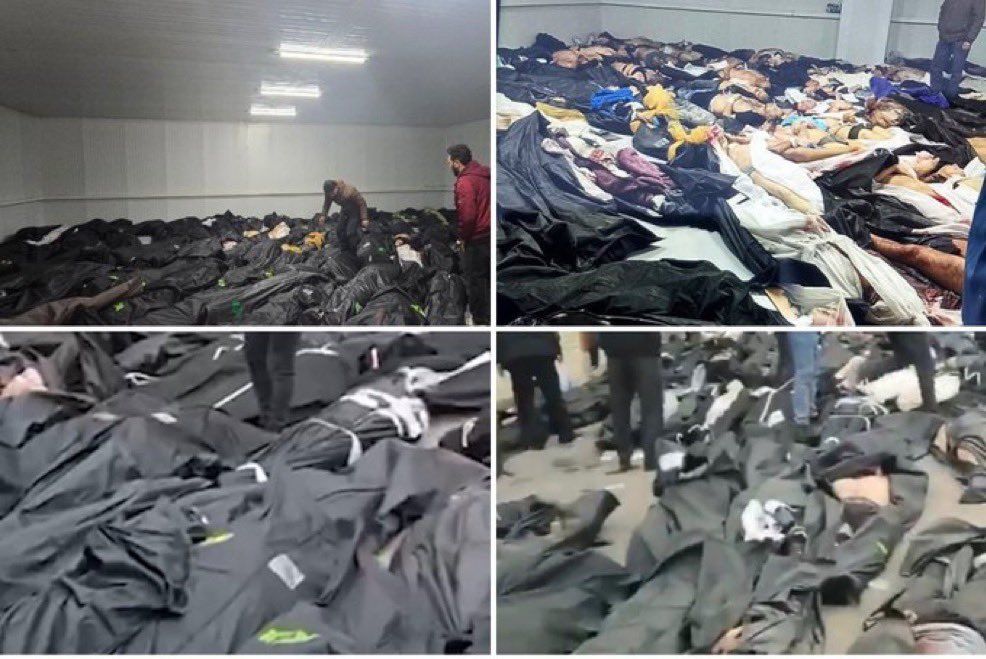 @Goldie Ghamari | گلسا قمری 🇮🇷: Do you see this?
These are not casualties of the military operation by the United States and Israel against the terrorist Islamic Republic occupying Iran.
This is what Khamenei and the terrorist Isl