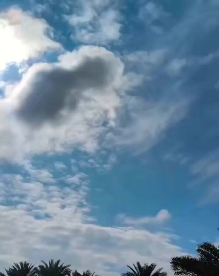 @Babak Taghvaee - The Crisis Watch: BREAKING: Footage recorded over the northern Mosul area in Iraq shows another A-10C Thunderbolt II ground-attack aircraft of the U.S. Air Force from the 74th or 75th Fighter Squadron in action against
