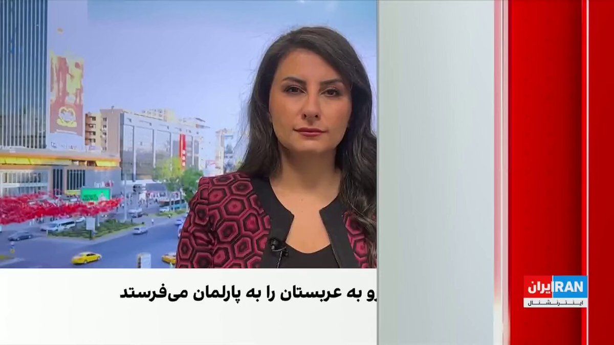 The foreign ministers of Turkey, Egypt, Pakistan, Saudi Arabia, the United Kingdom, Germany, and France will hold discussions on Saturday in Istanbul regarding the most significant regional and…