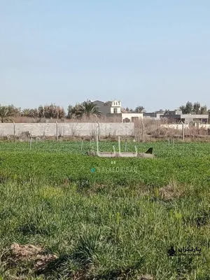 @Babak Taghvaee - The Crisis Watch: #Breaking: Today, the #IsraeliAirForce used air-launched ballistic missiles to strike the hideout and palace of dictator #Khamenei of the Islamic regime of #Iran. Boosters from these missiles have rep