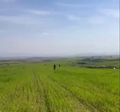 @Babak Taghvaee - The Crisis Watch: BREAKING: A one-way attack drone of the IRGC Aerospace Force can be seen crashing into a field somewhere in Erbil, Kurdistan Region of Iraq.

#OperationEpicFury #OperationLionsRoar