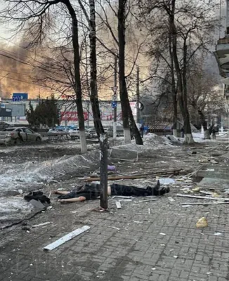 @Visegrád 24: Reports of at least 6 people were killed and 37 injured in today’s Ukrainian Storm Shadow cruise missile strikes on the Kremniy-El microelectronics plant in Bryansk, Russia.

The factory, producing el