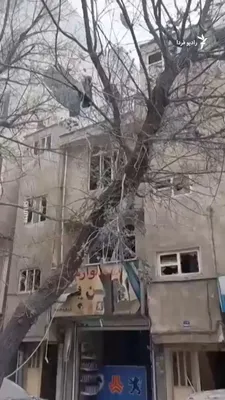 @RadioFarda‌|‌راديو فردا: فیلم‌هایی که روز چهارشنبه ۲۰ اسفند در شبکه‌های اجتماعی منتشر شد، خسارت‌های قابل‌توجهی به ساختمان‌ها و خودروها در تهران، محله‌های اطراف مهرآباد را پس از یک حمله هوایی نشان می‌دهد.

در این ویدئوها خودرو