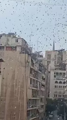 @Visegrád 24: BREAKING:

The Israeli Air Force dropped leaflets in Beirut a short while ago, calling on civilians to act against Hezbollah:

"You must disarm Hezbollah, Iran's shield. Lebanon is your decision, not 