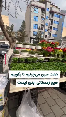@ایران وایر: یکی از اهالی گیشا در تهران با ارسال این ویدئو برای ایران‌وایر نوشت: دیشب تهران آرامتر از شب‌های قبل بود اما بمباران بندر انزلی و رشت نگذاشت بخوابم. با این حال آمدم از این بساط شب عید چیزهایی برای سفره