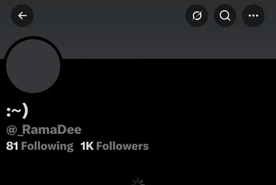 @Visegrád 24: Mamdani’s wife, Rama Duwaji, just disabled her old account, after several highly controversial posts were dug up, including posts of her praising terrorists as “awesome” and using the “n-word”.