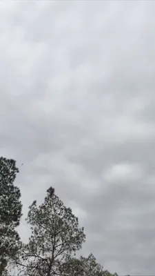 @Babak Taghvaee - The Crisis Watch: BREAKING: This footage shows one of these Tomahawk cruise missiles flying over the south of Tehran on its way toward the headquarters of the Iranian Air Force. They were launched by Arleigh Burke-clas