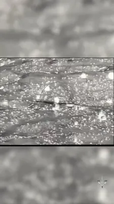 @Babak Taghvaee - The Crisis Watch: Deployment of two Tiger HAD attack helicopters of the French Army Light Aviation to the UAE—and their use in intercepting and neutralizing Iranian one-way attack drones—appears to be more of a test an