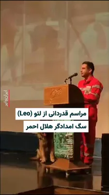 @ایران وایر: On the sidelines of the "Night of Empathy" event of *Bukhara* magazine, a ceremony was held to honor one of the Red Crescent's rescue dogs.

Leo, the Red Crescent Mashhad rescue dog, played a signific