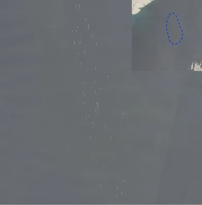 @WarMonitor🇺🇦🇬🇧: Satellite imagery today has captured several dozen Iranian gunboats operating around the Middle of the Strait of Hormuz likely laying mines or patrolling just North of Oman.