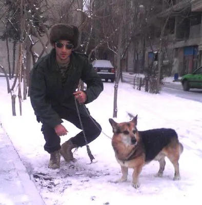 @𝐍𝐢𝐨𝐡 𝐁𝐞𝐫𝐠 🇮🇷 ✡︎: Ehsan Afrashteh was executed this morning. He was an IT specialist who had moved to Turkey, well aware of the hopelessness and risks of remaining in Iran.

His father called him, telling Eshan that th