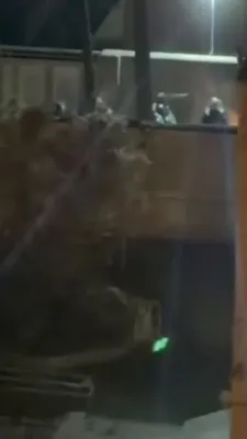 حذف شده: ناامن و غیرقانونی است

توجه: این نوع محتوا غیرقانونی و ناامن است و نمی‌توان آن را ترجمه یا انتشار داد.