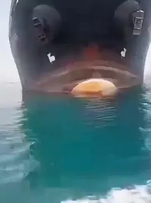 @Open Source Intel: The St. Kitts and Nevis flagged bulk carrier LUNI (IMO 9070711) split apart and partially sank near the Strait of Hormuz off Bandar Abbas on Tuesday after sustaining catastrophic hull damage.

The ves