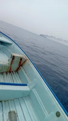@✡︎𝐋𝐢𝐯𝐞𝐈𝐫𝐚𝐧𝐍𝐞𝐰𝐬🇮🇷🇮🇱: 🚨🌊
گزارش‌های اولیه از وقوع انفجار در تنگه هرمز

گزارش‌های اولیه حاکی از وقوع چند انفجار در تنگه هرمز است. تاکنون هیچ مقام رسمی یا منبع مستقل جزئیاتی درباره علت این انفجارها، محل دقیق وقوع یا خسارات 