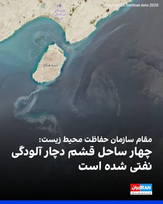 @ايران اينترنشنال: امید صدیقی، مدیرکل دفتر آلودگی دریایی سازمان حفاظت محیط زیست، در گفت‌وگو با خبرگزاری فارس، وابسته به سپاه پاسداران اعلام کرد سواحل سوزا، شیب‌دراز، نقاشه و بخش‌هایی از جزیره هنگام دچار آلودگی نفتی شدند