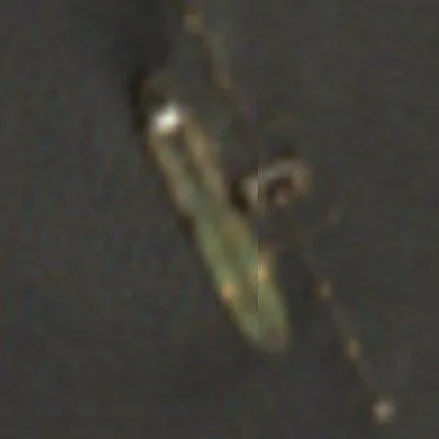 @✡︎𝐋𝐢𝐯𝐞𝐈𝐫𝐚𝐧𝐍𝐞𝐰𝐬🇮🇷🇮🇱: ⚡🦀
**Tanker Trackers: First observed oil loading in Kharg since end of July; supertanker loading 2 million barrels**
Tanker Trackers reported that a VLCC supertanker owned by the National Iranian Oil