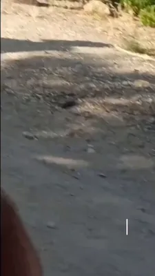 This video from March 2026 shows an Israeli Air and Space Force Hermes 900 armed drone using Mikholit bombs to attack members of the IRGC Ground Forces’ 3rd Hamzeh Infantry Division in Orumiyeh…